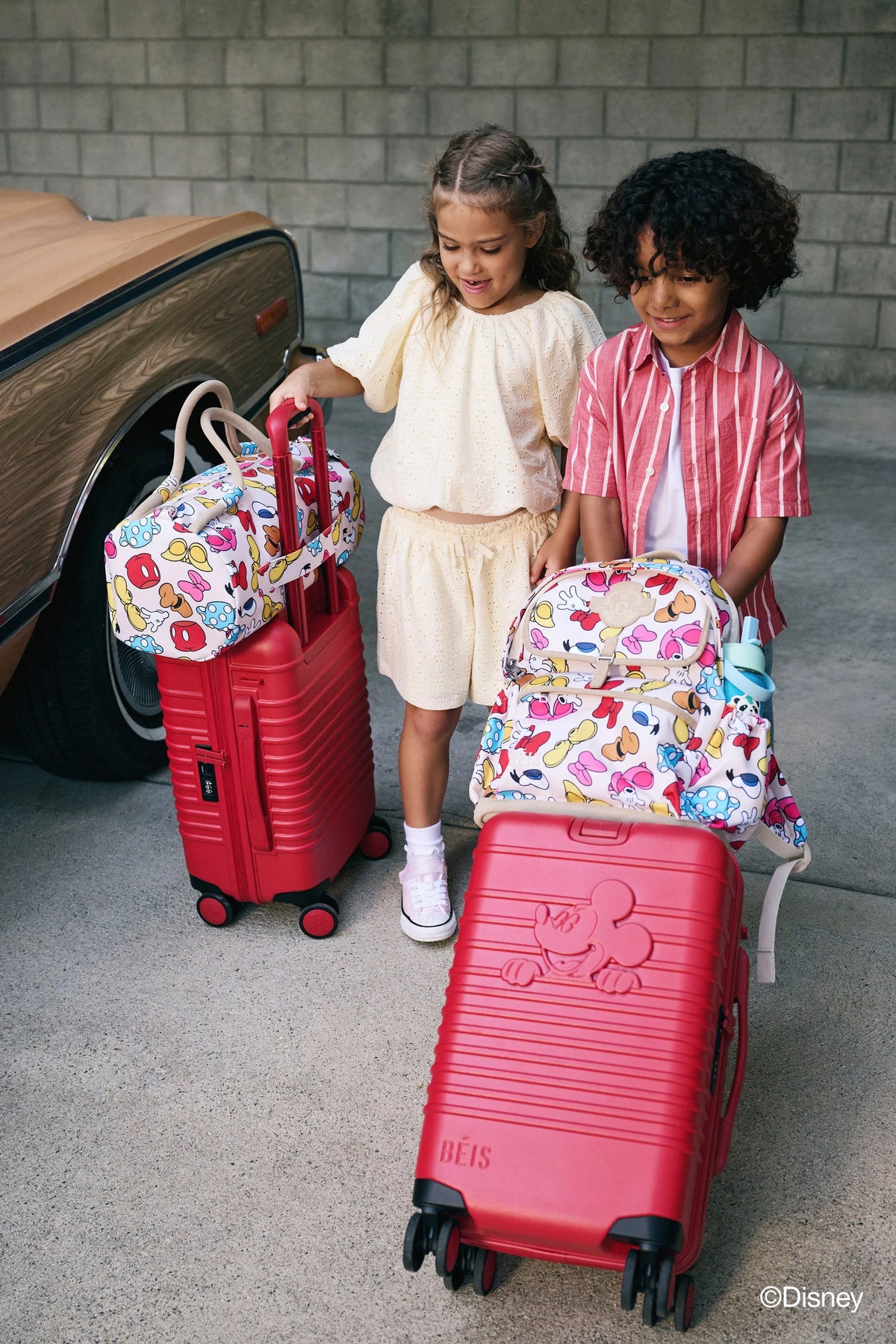 The Small Carry-On Roller  in Maple